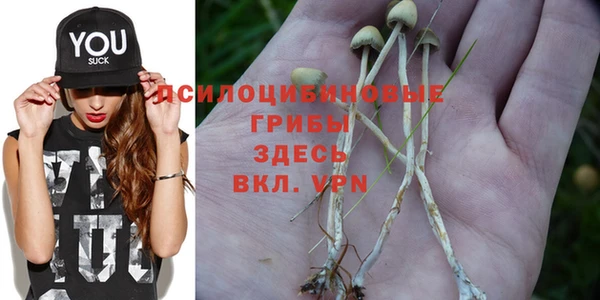 герыч Осинники