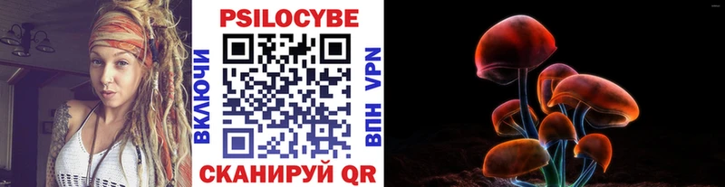 Псилоцибиновые грибы Magic Shrooms  Ртищево 