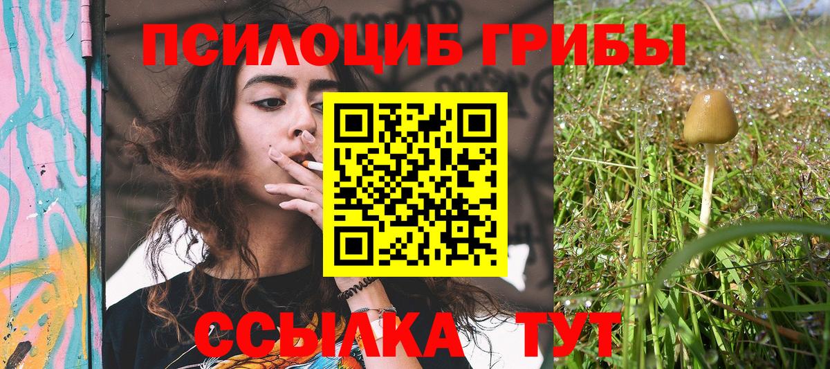 Галлюциногенные грибы GOLDEN TEACHER  Псилоцибиновые грибы Cubensis  Ртищево 