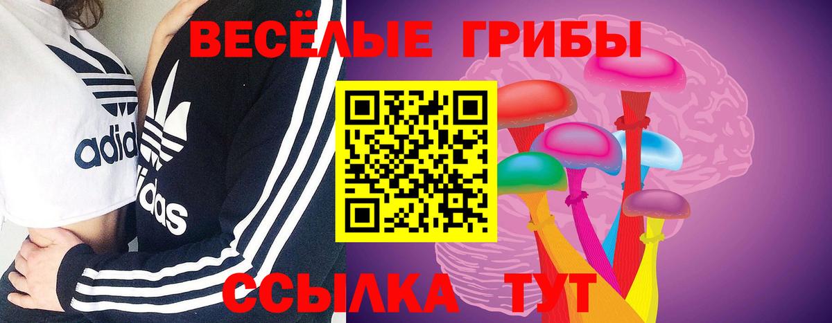 Галлюциногенные грибы Cubensis Ртищево