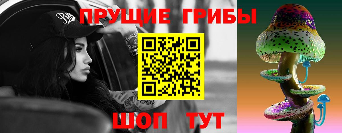 Ртищево  Псилоцибиновые грибы прущие грибы  Вход с VPN 